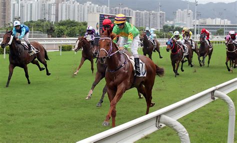 賽馬新聞 – 香港賽馬會.